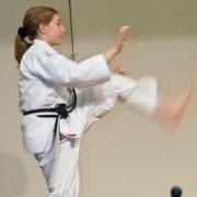 Violet gave a Karate demonstration as Allyson narrated and explained the subtleties.