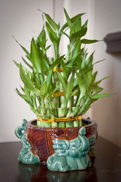 ecc_2013-01-20_02