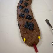 ecc_2013-01-20_03