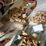 ecc_2013-01-20_16