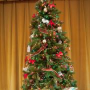 ecc_2013-12-08_24