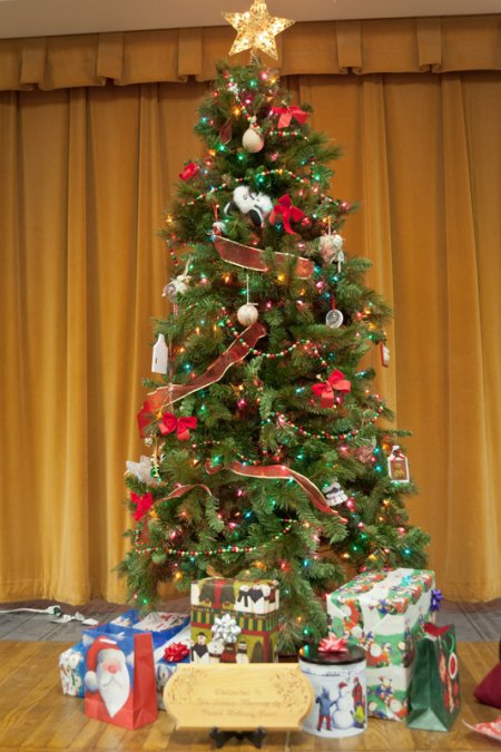 ecc_2013-12-08_24