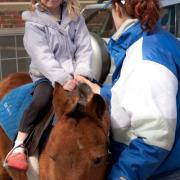 ecc_2013-03-24_22