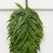Palm Sunday 2014