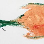 2015-01-25-fish-print