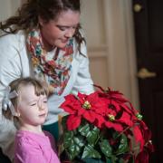 ecc_2015-11-29_03