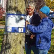 2016-11-11-bookwalk2