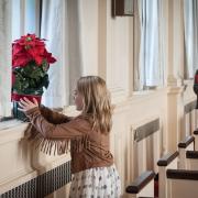 ecc_2016-11-27_hanging-greens__11