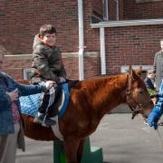 ecc_2016-03-20_09