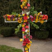 ecc_2016-03-27_22