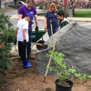 2018-scout-projects_07