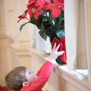 ecc_2019-12-01_4