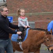 ecc_2019-04-14_20