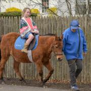 ecc_2019-04-14_29