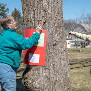 ecc_2019-04-06_Poet-tree_4