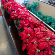 2022-11-27-Advent_03