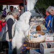 2024-10-26-Trick-or-Treat-for-Books_15