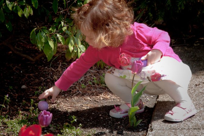 ecc_04-24-11_33