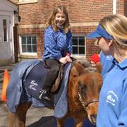Pony Ride, Palm Sunday